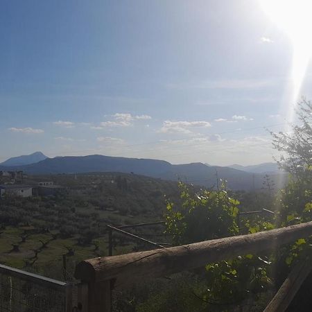 アルカウデテCortijo El Cerroアパートメント エクステリア 写真
